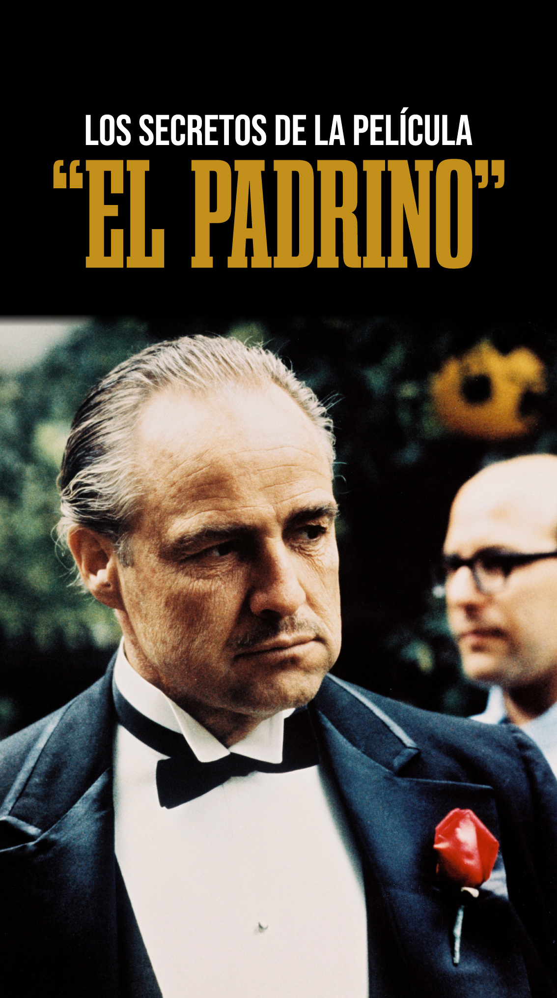 La mejor película de la historia según Letterboxd ha desbancado a 'El  Padrino' y puedes verla gratis en