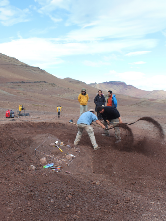 Patagonia Descubren El Mamífero Más Grande Que Convivió Con Dinosaurios Infobae Stories