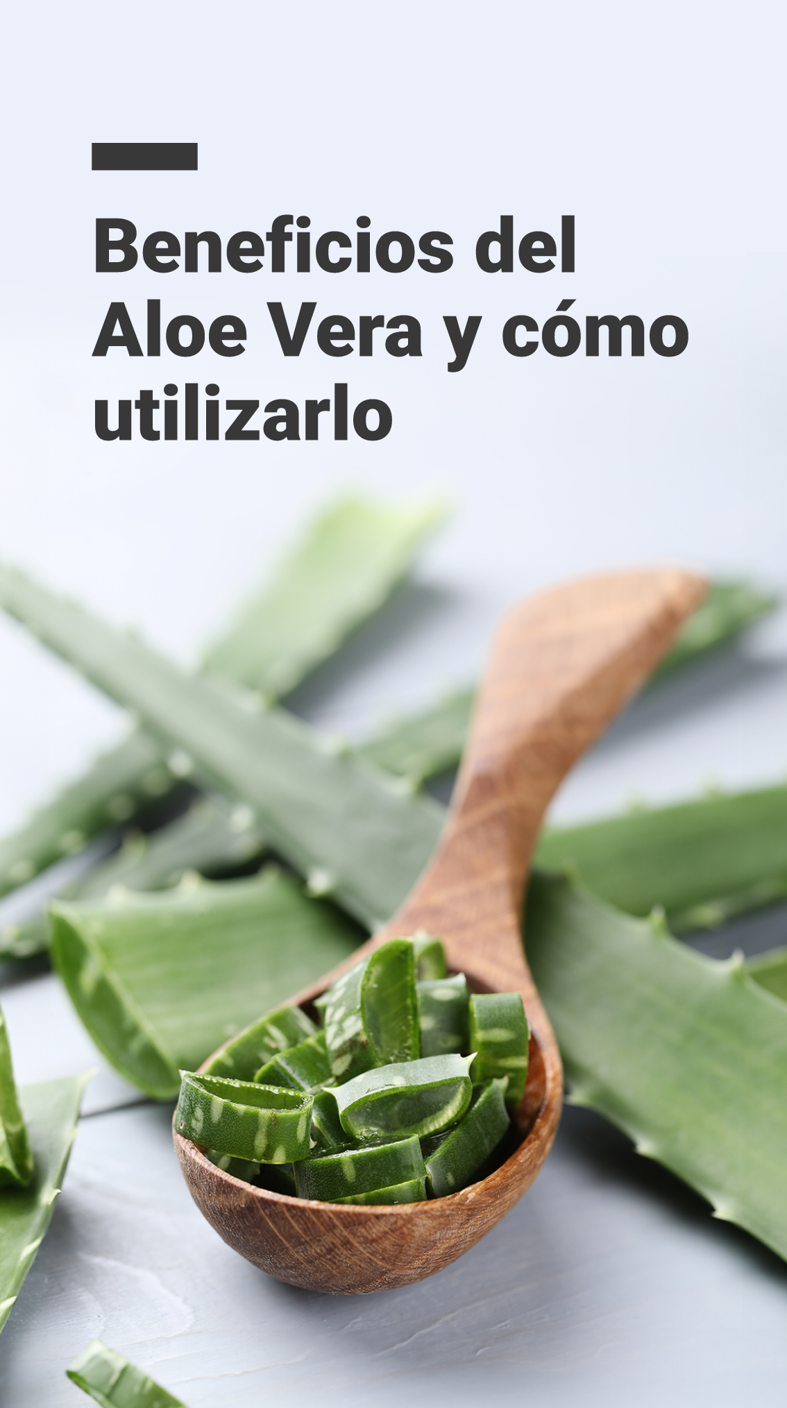 Beneficios del Aloe Vera y cmo utilizarlo  Infobae Stories